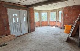 Casa 4 camere, 240 mp, teren 4000 mp, zona Pinticu