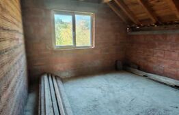 Casa 4 camere, 240 mp, teren 4000 mp, zona Pinticu