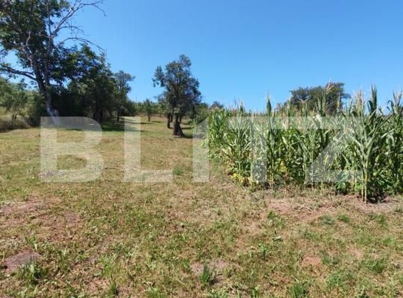 Casa de vânzare 5 camere Sud - 202275CV | BLITZ Bistriţa | Poza2
