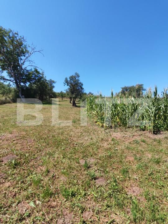 Casa de vânzare 5 camere Sud - 202275CV | BLITZ Bistriţa | Poza2