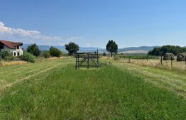 Teren intravilan, 3000 mp, zona Livezile