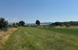Teren intravilan, 3000 mp, zona Livezile