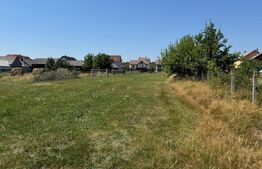 Teren intravilan, 3000 mp, zona Livezile