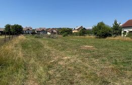 Teren intravilan, 3000 mp, zona Livezile