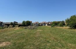 Teren intravilan, 3000 mp, zona Livezile