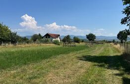 Teren intravilan, 3000 mp, zona Livezile