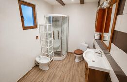 Casă de vânzare, 120 mp, zona Prundul Bârgăului