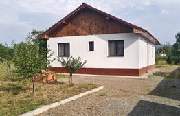 Casa de vânzare 3 camere Sud-Est - 175669CV | BLITZ Bistriţa | Poza2