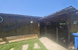 Casa individuala, 140 mp, teren  1.356 mp, zona Dipsa