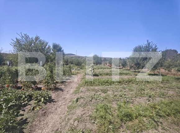 Casa de vânzare 3 camere Exterior Sud - 202534CV | BLITZ Bistriţa | Poza14