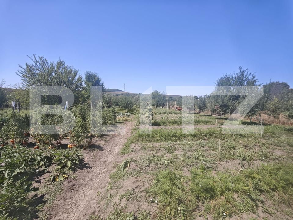 Casa de vânzare 3 camere Exterior Sud - 202534CV | BLITZ Bistriţa | Poza14