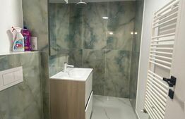 Apartament de inchiriat, cu 3 camere, 50 mp, gradina, modern, renovat, Bistrita