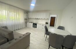 Apartament de inchiriat, cu 3 camere, 50 mp, gradina, modern, renovat, Bistrita