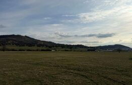Teren Extravilan | 10 ari | Zona Aerodromului langa partie 