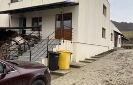 Clădire comercială, 318 mp, teren 12 ari, zona Mariselu