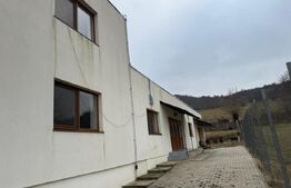 Clădire comercială, 318 mp, teren 12 ari, zona Mariselu