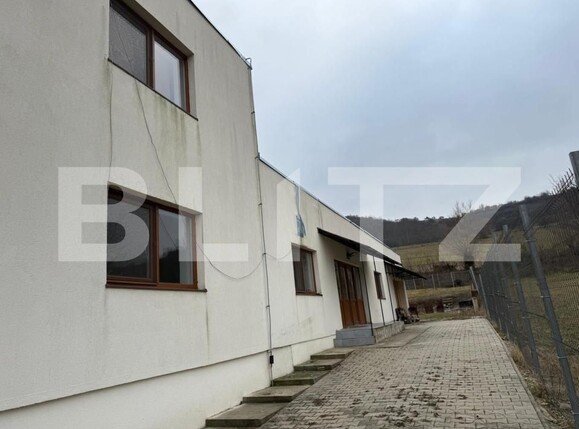 Spațiu comercial de vânzare Exterior Sud - 203040SVC | BLITZ Bistriţa | Poza4