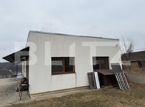 Spațiu comercial de vânzare Exterior Sud - 203040SVC | BLITZ Bistriţa | Poza2
