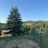 Casa de vânzare 4 camere Piatra Fantanele - 203053CV - Poza 1 din 7 | BLITZ Bistriţa | Poza6