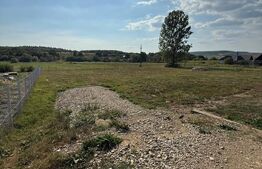 Teren INTRAVILAN  2212 mp, zona Tarpiu 2600€/ar