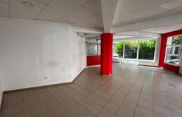 Spatiu comercial de inchiriat, 100 mp, zona Independentei