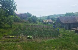 Casa de vanzare, 120 mp, teren 4700 mp, zona Sanmihaiu de Campie