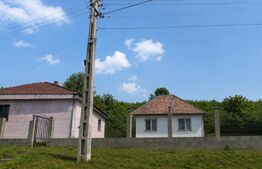 Casa de vanzare, 120 mp, teren 4700 mp, zona Sanmihaiu de Campie