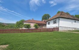 Casa de vanzare, 120 mp, teren 4700 mp, zona Sanmihaiu de Campie