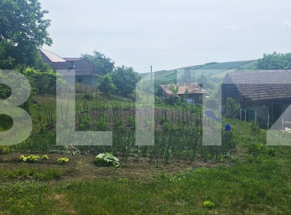 Casa de vânzare 3 camere Exterior Sud - 203446CV | BLITZ Bistriţa | Poza9