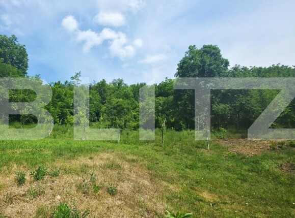 Casa de vânzare 3 camere Exterior Sud - 203446CV | BLITZ Bistriţa | Poza11