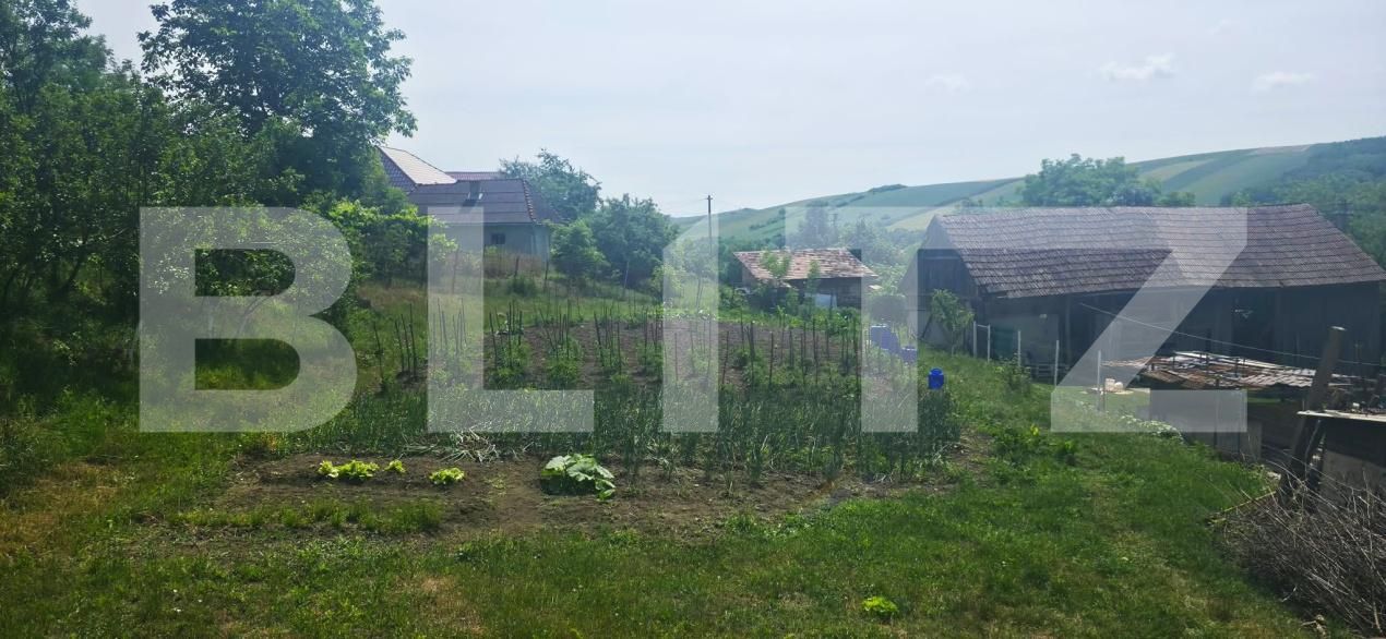 Casa de vânzare 3 camere Exterior Sud - 203446CV | BLITZ Bistriţa | Poza9