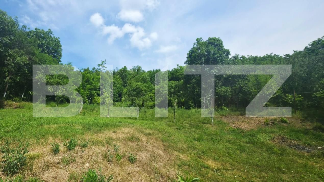 Casa de vânzare 3 camere Exterior Sud - 203446CV | BLITZ Bistriţa | Poza11