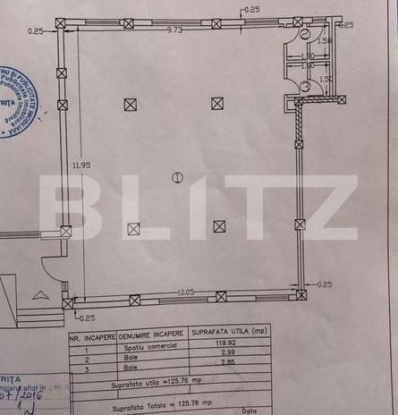 Spațiu comercial de închiriat Viișoara - 203776SIC | BLITZ Bistriţa | Poza3