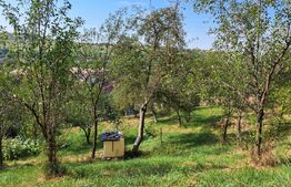 Casă de vanzare, 200 mp, teren 1600 mp, zona Magurele