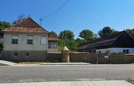 Casă de vanzare, 200 mp, teren 1600 mp, zona Magurele