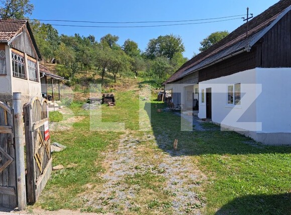 Casa de vânzare 5 camere Magurele - 203813CV | BLITZ Bistriţa | Poza2