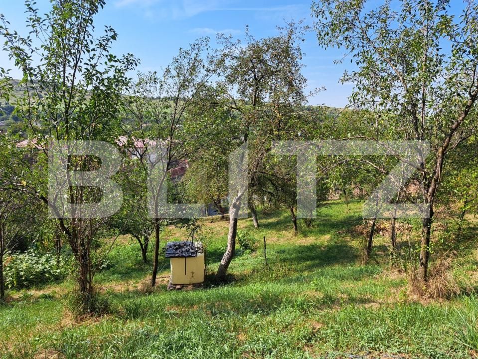 Casa de vânzare 5 camere Magurele - 203813CV | BLITZ Bistriţa | Poza3