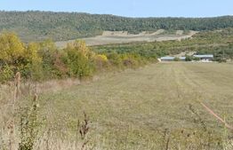 Teren 49 Ari, partial intravilan 13 ari, cu deschidere la DN17, Sieu Magherus