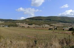 Teren 49 Ari, partial intravilan 13 ari, cu deschidere la DN17, Sieu Magherus
