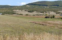 Teren 49 Ari, partial intravilan 13 ari, cu deschidere la DN17, Sieu Magherus