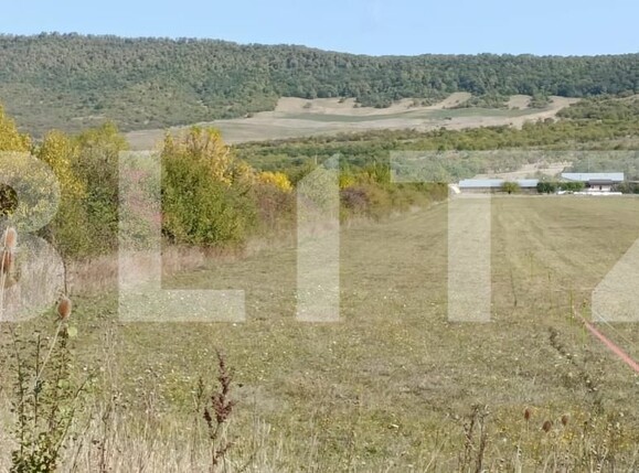 Teren de vânzare Exterior Sud - 203814TV | BLITZ Bistriţa | Poza1