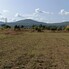 Teren de vânzare Exterior Sud - 203814TV - Poza 1 din 5 | BLITZ Bistriţa | Poza2