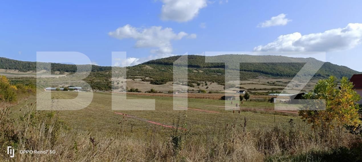 Teren de vânzare Exterior Sud - 203814TV | BLITZ Bistriţa | Poza5