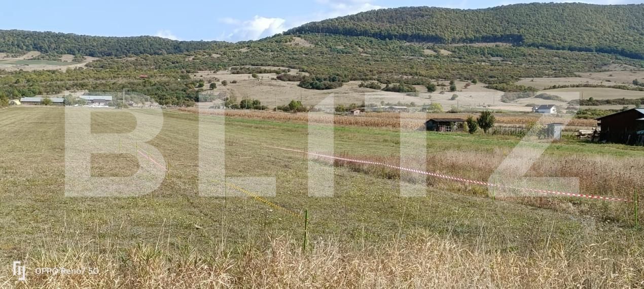 Teren de vânzare Exterior Sud - 203814TV | BLITZ Bistriţa | Poza2