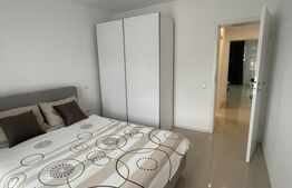 Casa de vanza, teren 3.500 mp, zona Borleasa