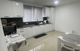 Casa de vanza, teren 3.500 mp, zona Borleasa