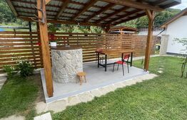 Casa de vanza, teren 3.500 mp, zona Borleasa