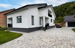 Casa de vanza, teren 3.500 mp, zona Borleasa