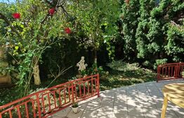 Casă de vânzare, 325 mp, teren 300 mp, zonă Centrală