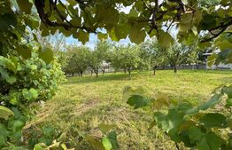 Teren intravilan de vânzare, 954 mp, str. Iancu Jianu